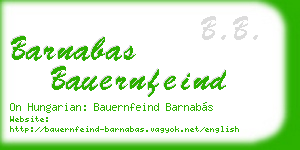 barnabas bauernfeind business card